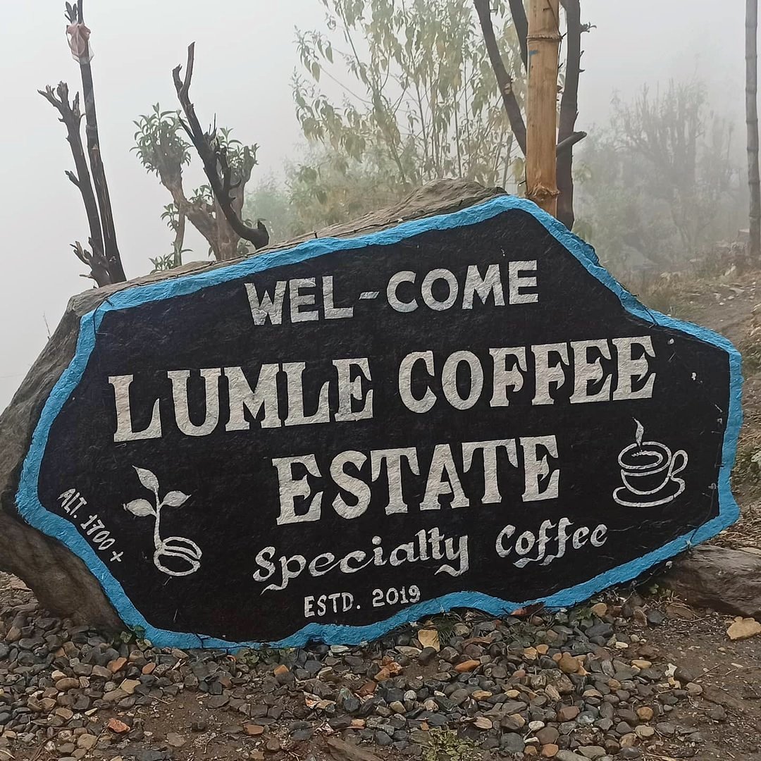 Lumle Coffee Estate | Photo by Nabin Devkota