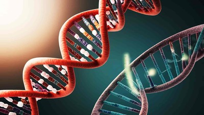 What is a ‘cancer gene’? How genetic mutations lead to cancer