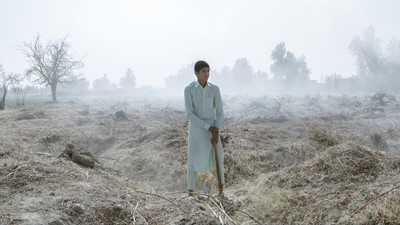 When communism is the only option